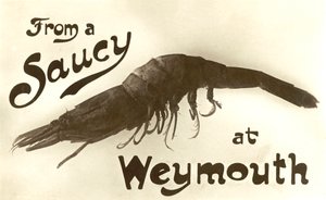 Weymouthin makeasta katkarapusta, onnittelukortti (litho) tekijältä English School