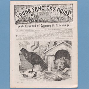 Etukappale The Young Fanciers Guide -oppaasta, 1874 (katso myös 315145) tekijältä English School