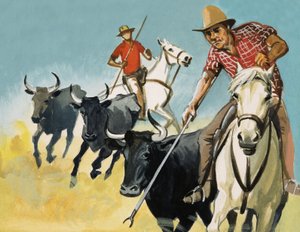 Camarguen gardialaiset tekijältä English School