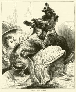 Gelert