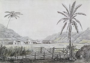 Halse Hall, Jamaika, n. 1780 (wc ja grafiitti paperilla) tekijältä English School