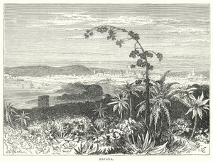 Havana (engraving) tekijältä English School