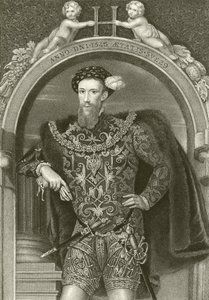 Henry Howard, Surreyn jaarli tekijältä English School