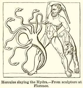 Hercules tappaa hydran tekijältä English School