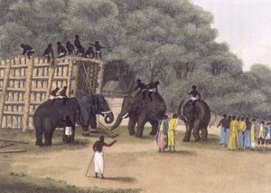 Hindoo Elephant Trap, pubi. Kirjailija: Edward Orme tekijältä English School