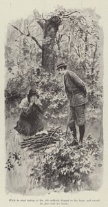 Hänen hyvä keiju, kirjoittanut Mary Elizabeth Braddon (litho) tekijältä English School