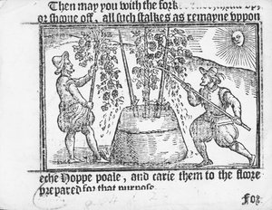 Humalaviljely, Reynolds Scottin teoksesta Vade mecum, A Perfite Platform of a Hoppe Garden, 1576