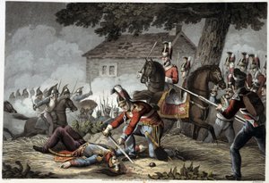 Hevoskaarti taistelukentällä Waterloossa teoksessa "Historiallisia, sotilaallisia ja merellisiä anekdootteja ja tapahtumia, jotka saapuivat Britannian armeijoihin ja niiden liittolaisiin ja päättyivät Waterlooon", kirjoittanut Edward Orme. Kuvittaneet Fry, tekijältä English School