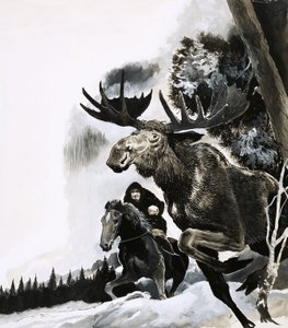 Hirven metsästys tekijältä English School