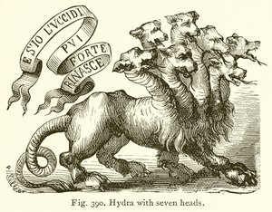 Hydra seitsemällä päällä tekijältä English School