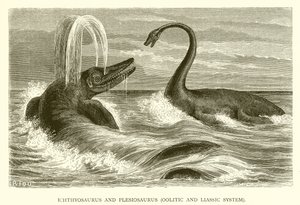 Ichthyosaurus ja Plesiosaurus, Oolitic ja Liassic System tekijältä English School