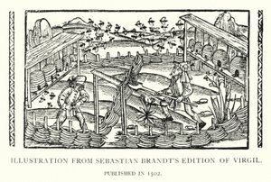 Kuvitus Sebastian Brandtin vuonna 1502 julkaistusta Vergilius-julkaisusta (litho) tekijältä English School