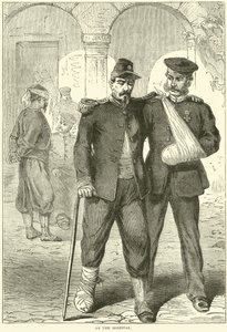 Sairaalassa marraskuussa 1870 tekijältä English School