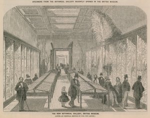 Uuden kasvitieteellisen gallerian sisäkuva tekijältä English School