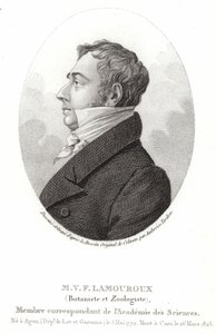 Jean Vincent Felix Lamouroux tekijältä English School