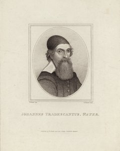 Johannes Tradescantus Pater tekijältä English School