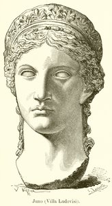 Juno (Villa Ludovisi) tekijältä English School