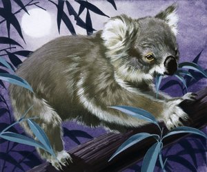 Koala purukumipuussa tekijältä English School