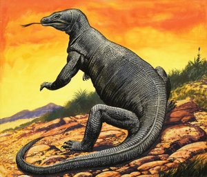 Komodon lohikäärme tekijältä English School
