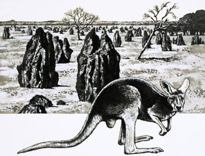 Suuret termiittikumput lähellä Darwinia Australiassa ja kenguru etualalla tekijältä English School