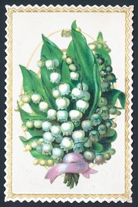 Lily Of The Valley Plant, kortti tekijältä English School