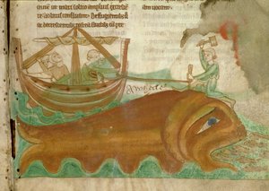 MS.254.f33r Valas, jonka päähän merimies iskee seipään, yksityiskohta englantilaisesta eläinkirjasta, 1200-luvun alku (pergamentti). tekijältä English School