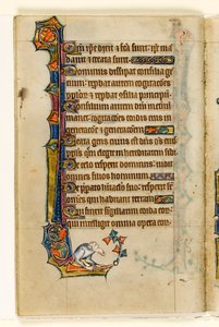 MS 1-2005, fol. 47v: Groteski, marginaalinen koristelu Macclesfield Psalterista, Use of Sarum, East Anglia, n. 1330 tekijältä English School