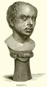 Marius tekijältä English School