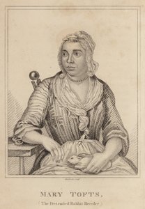 Mary Tofts, teeskennelty kanin kasvattaja tekijältä English School