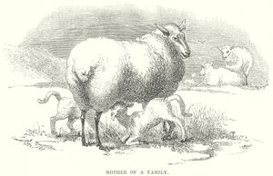 Perheen äiti (kaiverrus) tekijältä English School