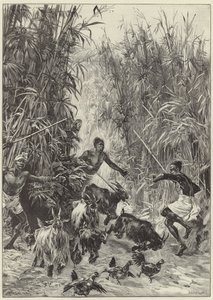 H. M. Stanleys Emin Pashan avustusretkikunta