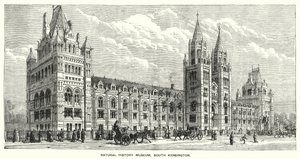 Natural History Museum, South Kensington (kaiverrus) tekijältä English School