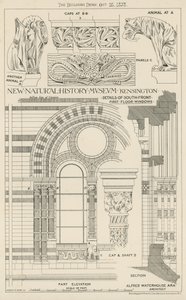 New Natural History Museum, South Kensington, Lontoo tekijältä English School