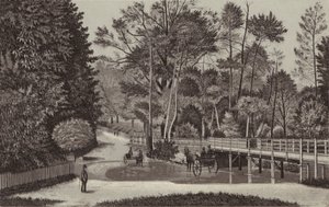 Newbury: Sandleford Water (litografia) tekijältä English School