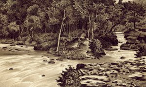 Pohjois-Devon: "The Watersmeet", Lynmouth (litografia). tekijältä English School