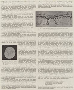 Lähinaapurimme, Mars (litho) tekijältä English School