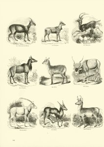Huonekalut ja erilaiset esineet 1100- ja 1300-luvuilta