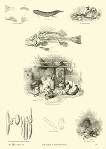 Huonekalut ja erilaiset esineet 1100- ja 1300-luvuilta