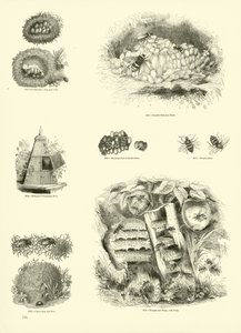 Huonekalut ja erilaiset esineet 1100- ja 1300-luvuilta