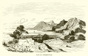Thermopylaen sola