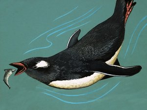 Pingviini pyydystää kaloja tekijältä English School