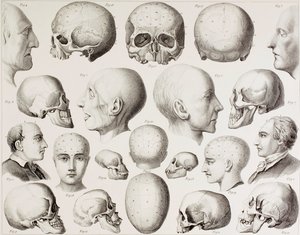 Frenologinen kuva, joka esittää aivojen psykologisia suhteita, 1800-luvun printistä tekijältä English School