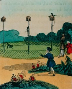 Puolat, joihin apinat olivat kesällä ketjutettuina kuin apinat kepilelussa. 1840-luku tekijältä English School