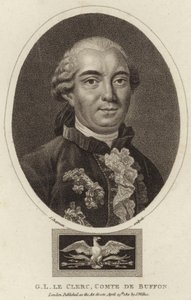 Buffonin kreivin Georges-Louis Leclercin muotokuva tekijältä English School