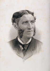 Matthew Arnoldin (1822-88) muotokuva tekijältä English School