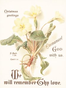 Primroses, joulukortti tekijältä English School