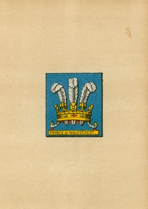 Walesin prinssin vaakuna tekijältä English School