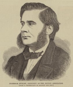 Professori Huxley, British Associationin puheenjohtaja (kaiverrus) tekijältä English School