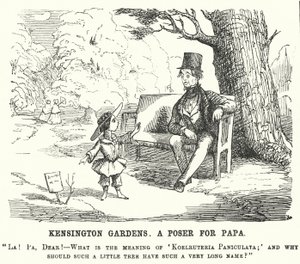 Punch-sarjakuva: lapsi kysyy isältään kysymyksen Kensington Gardensissa Lontoossa (kaiverrus) tekijältä English School