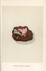Queensland-opaali matriisissa, Edwin Streeterin "Precious Stones and Gems", Lontoo, George Bell & Sons tekijältä English School
